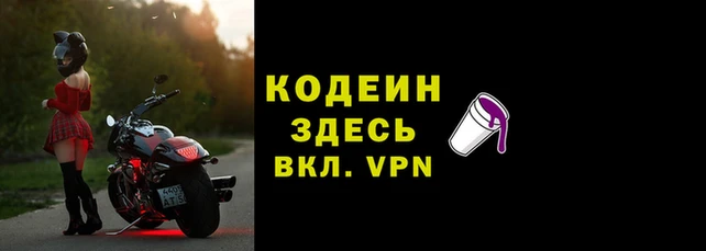 apvp Анива