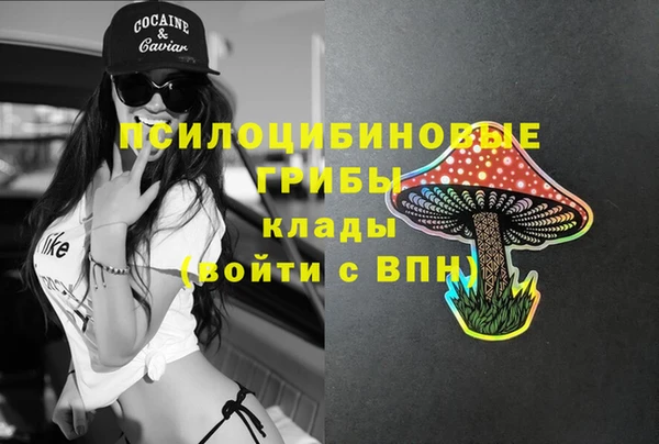 синтетический гашиш Няндома