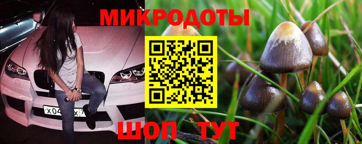 Богородицк  Галлюциногенные грибы Magic Shrooms  Вход с VPN 
