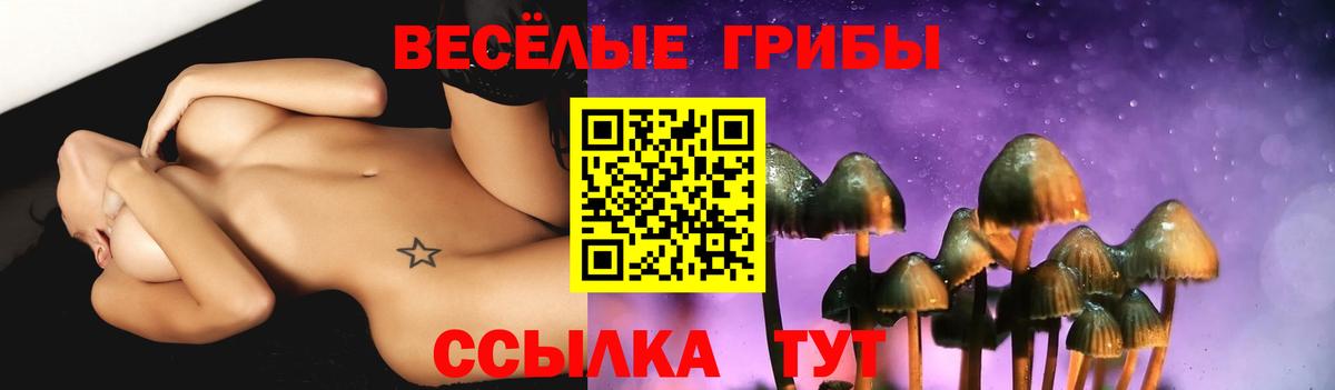 Псилоцибиновые грибы Cubensis Богородицк