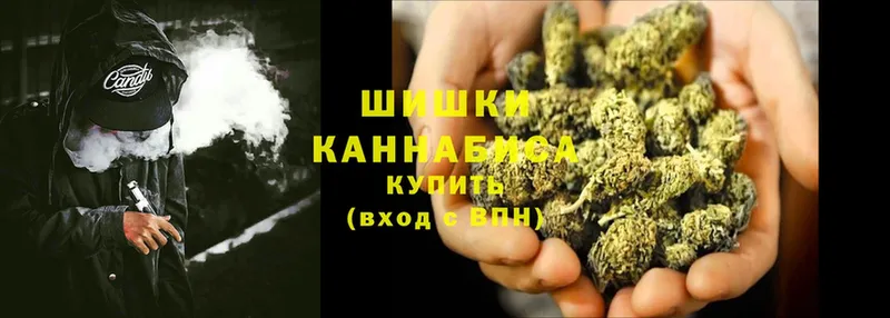 Бошки марихуана SATIVA & INDICA  Богородицк 